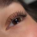 Korean Lash Lift Training