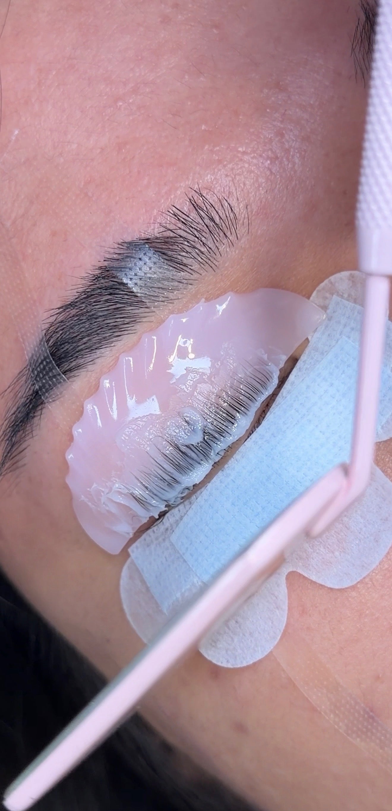 Jelly Pink Flat Shield